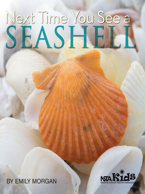 cover image of Next Time You See a Seashell